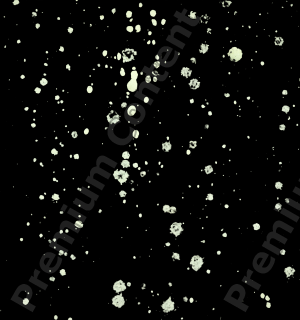 decal splatter 0001